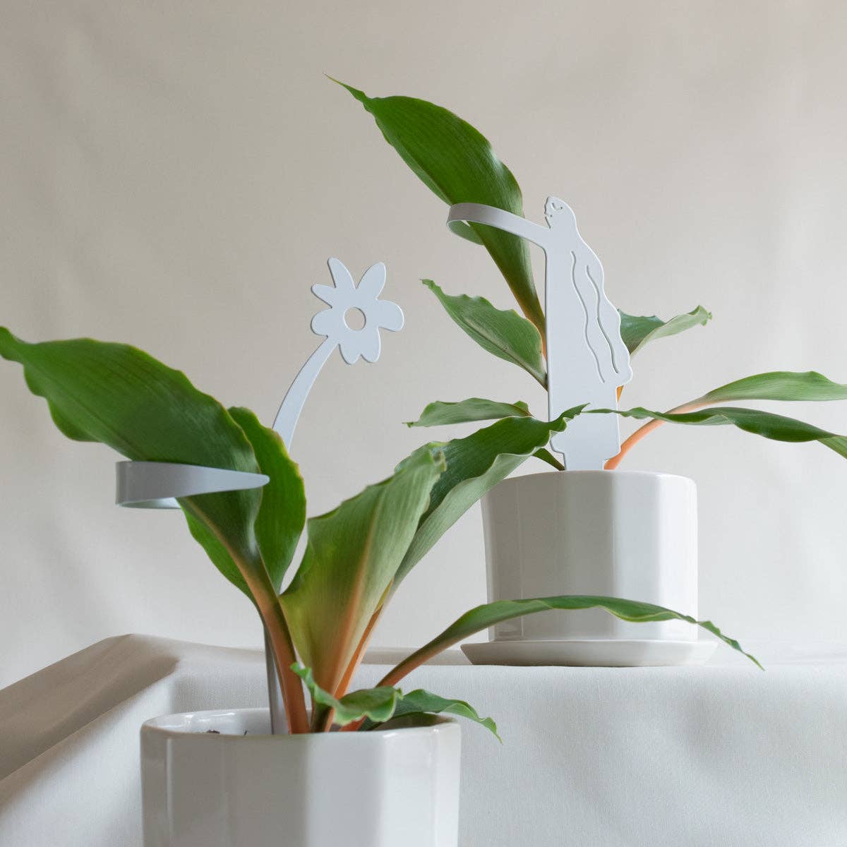 Hug Plant Support Stake