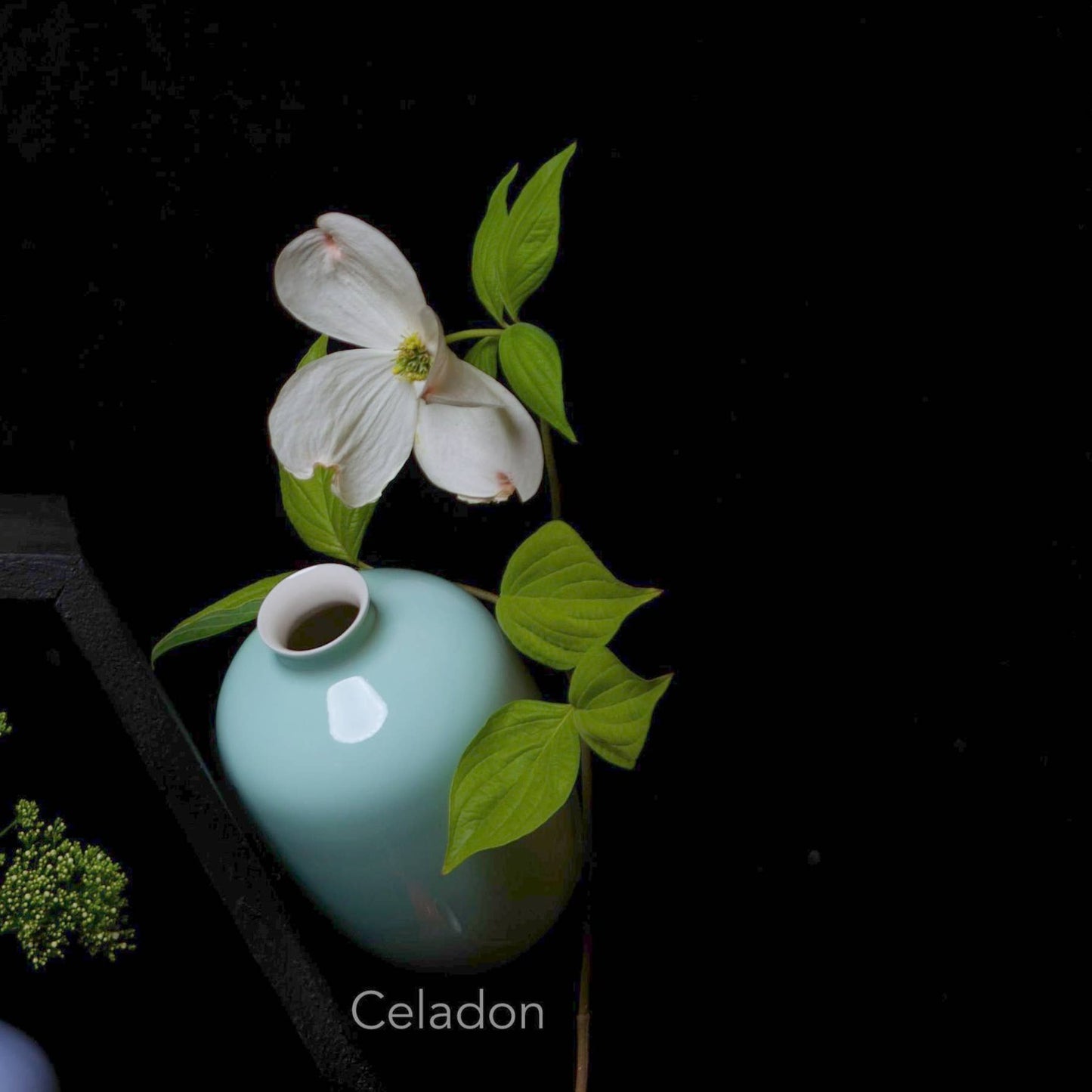 Plum Vase / Glossy
