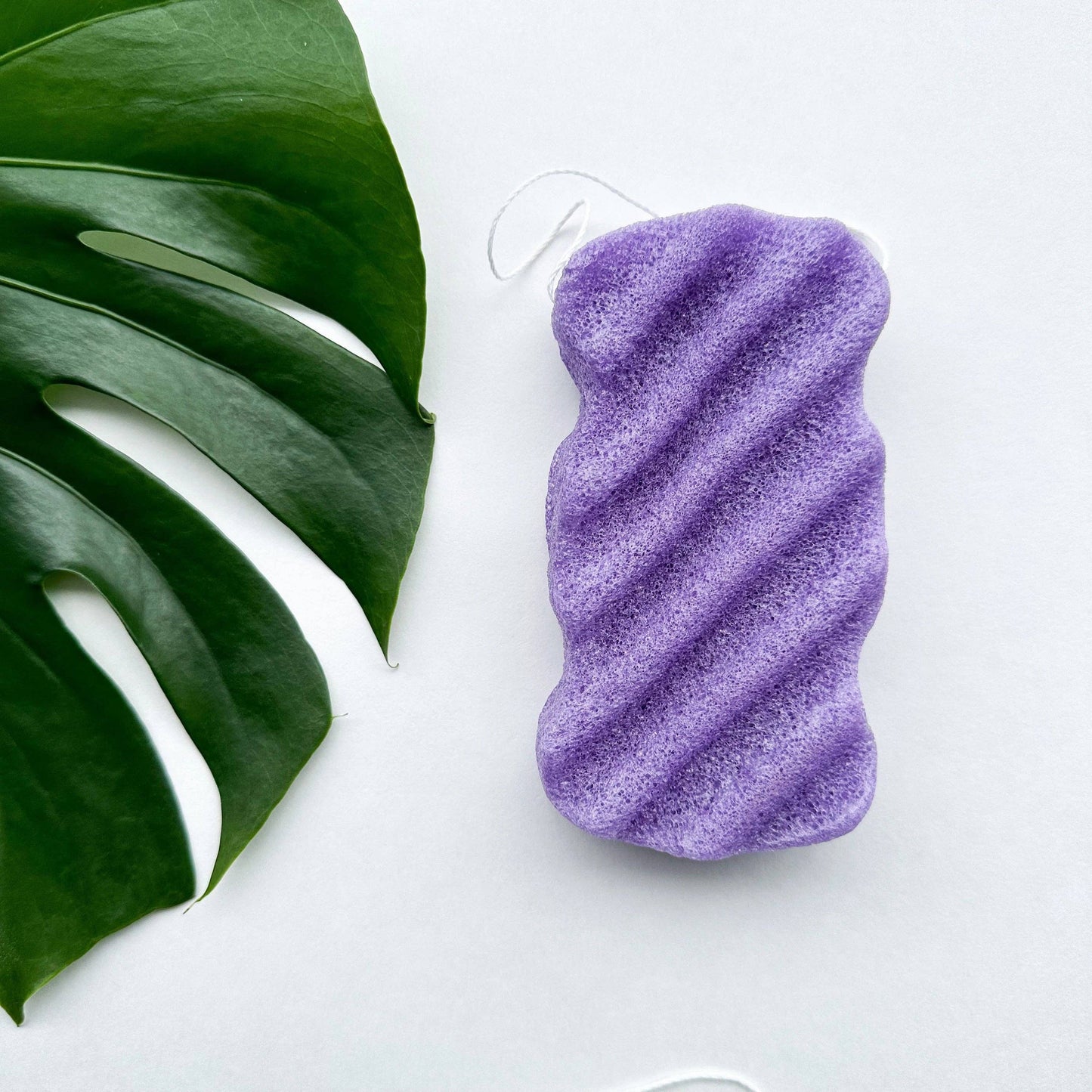 Natural Organic Konjac Body Sponge