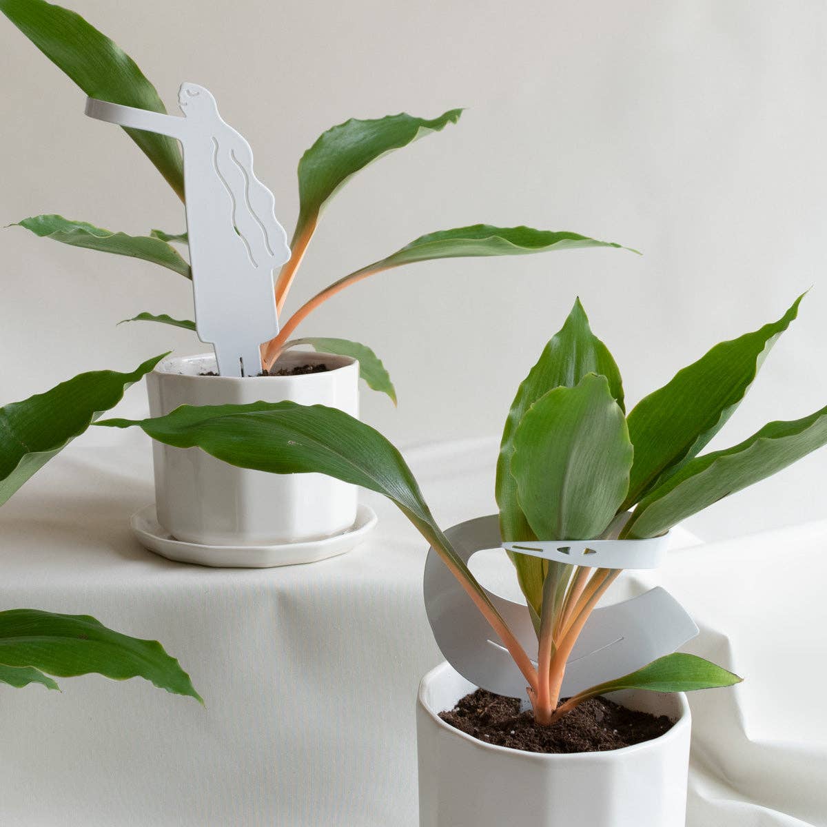 Hug Plant Support Stake