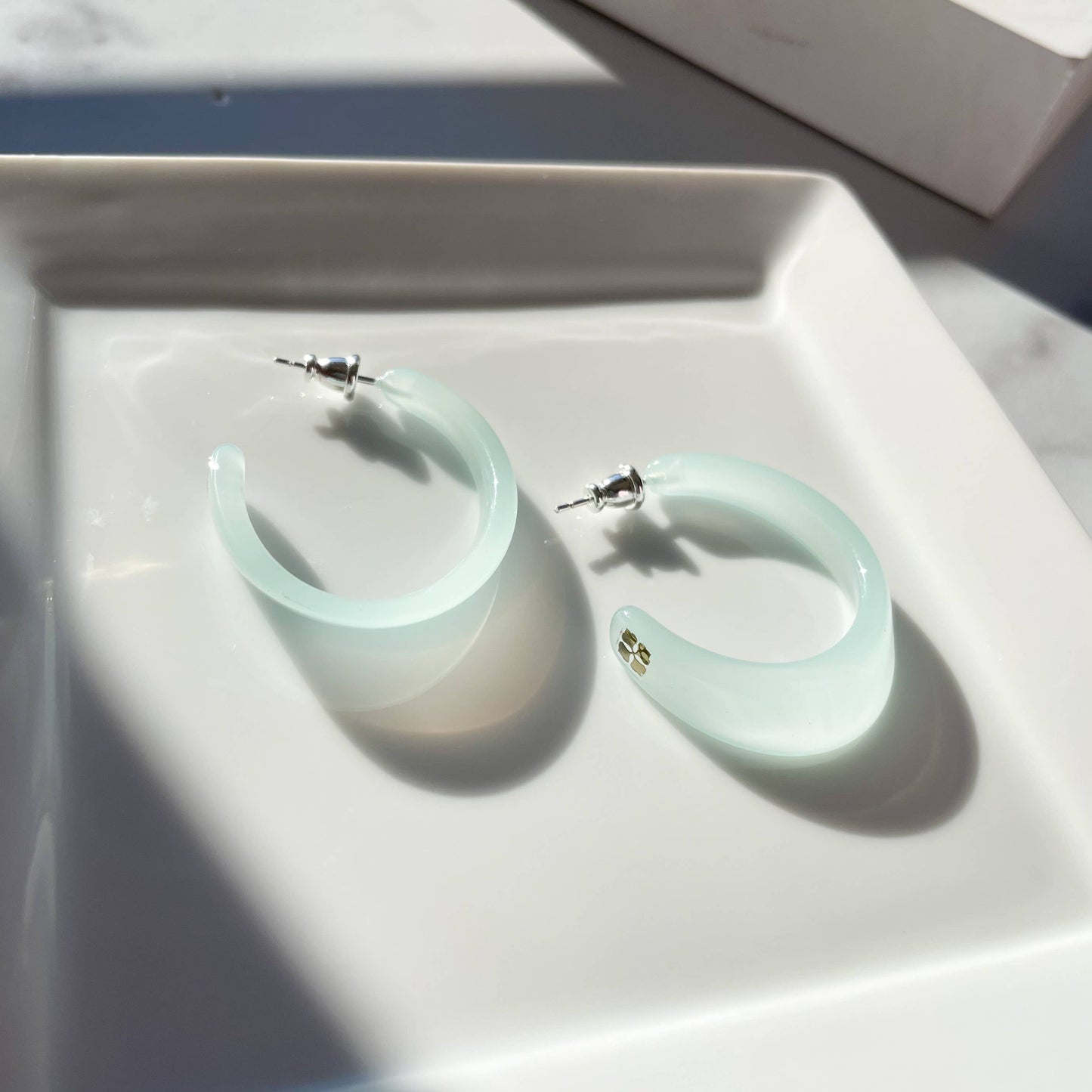 Oval Hoop Earrings