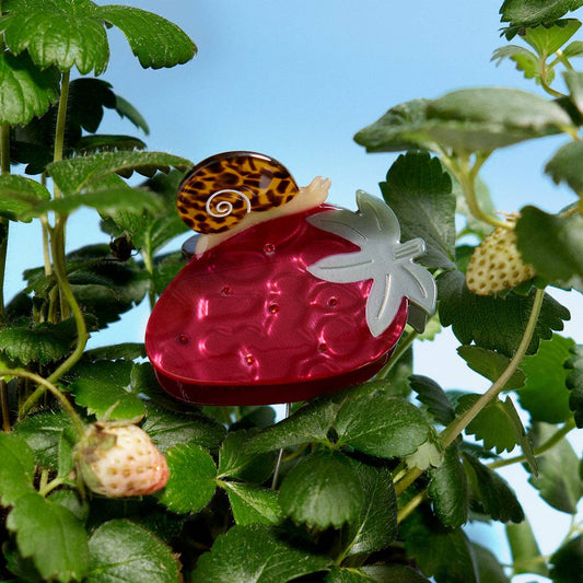Strawberry Garden Snail Fruit Acetate Hair Claw