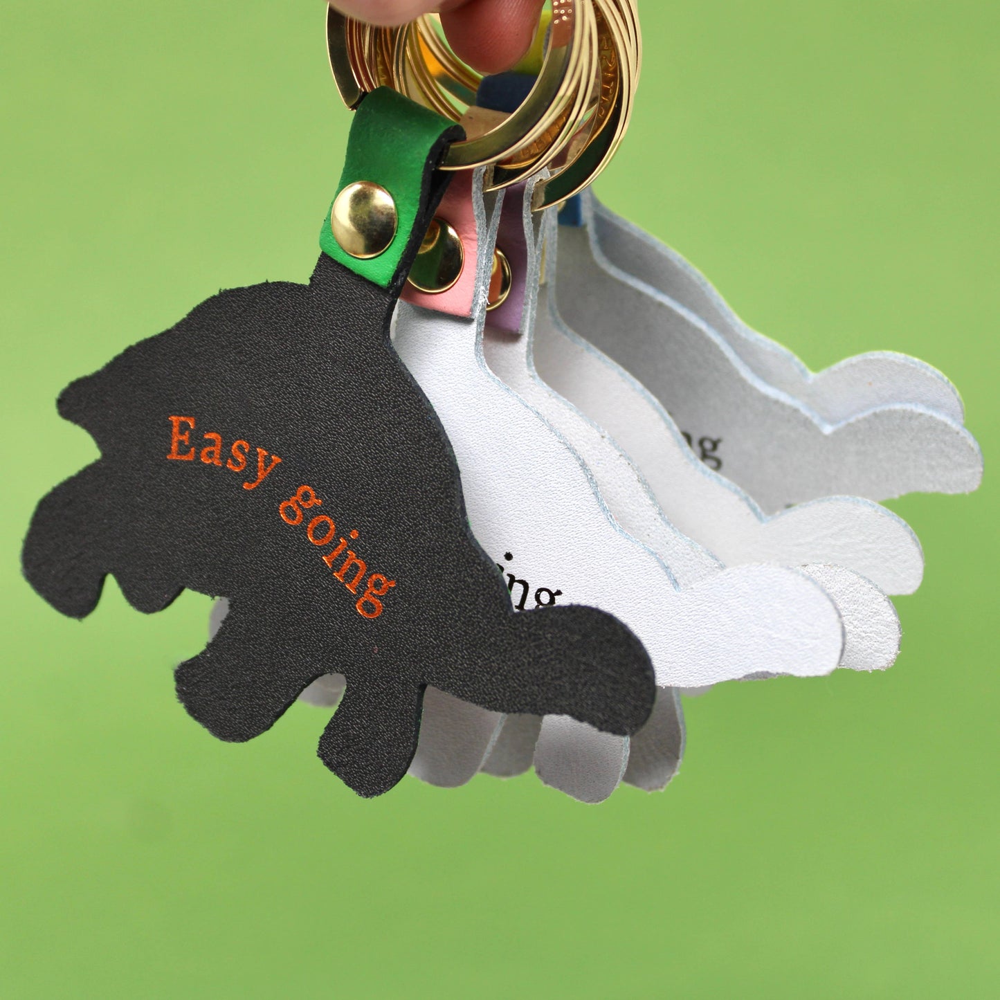 'Easy Going' Tortoise Keyring