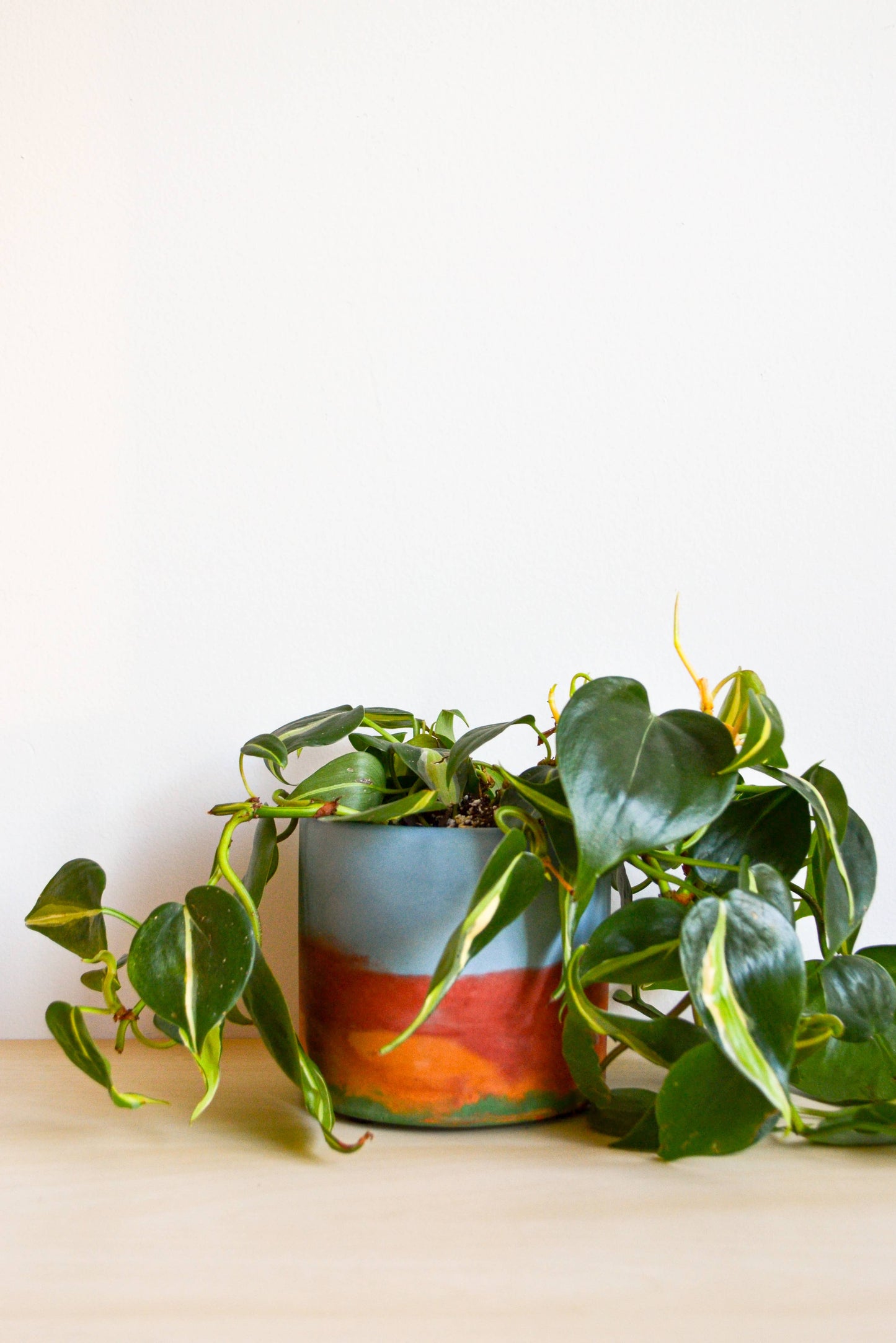 Rainbow Watercolor Planter