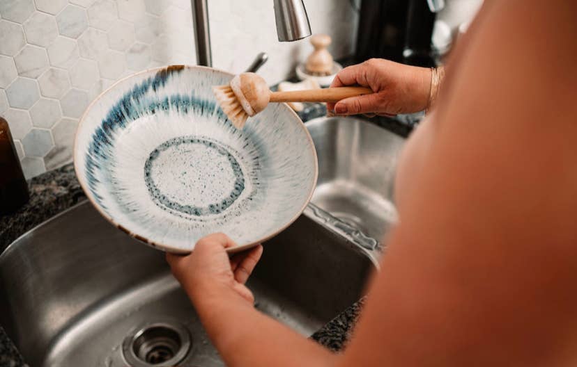 Bamboo Long Handle Dish Brush