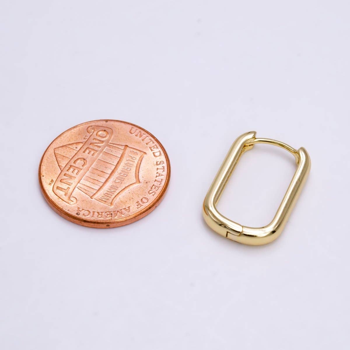 Oblong Hoop Earrings