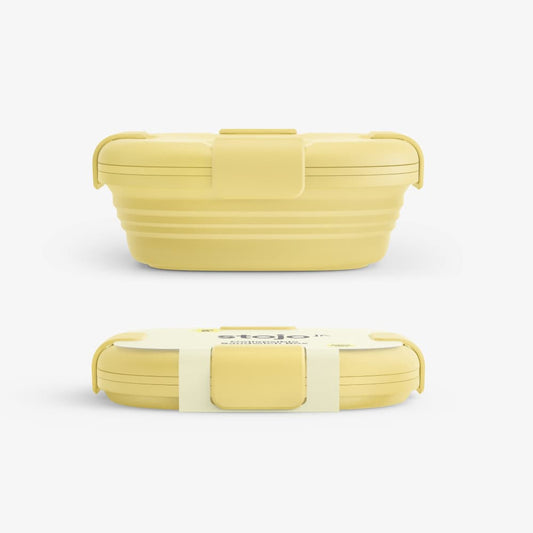 24 oz Collapsible Food Storage Box