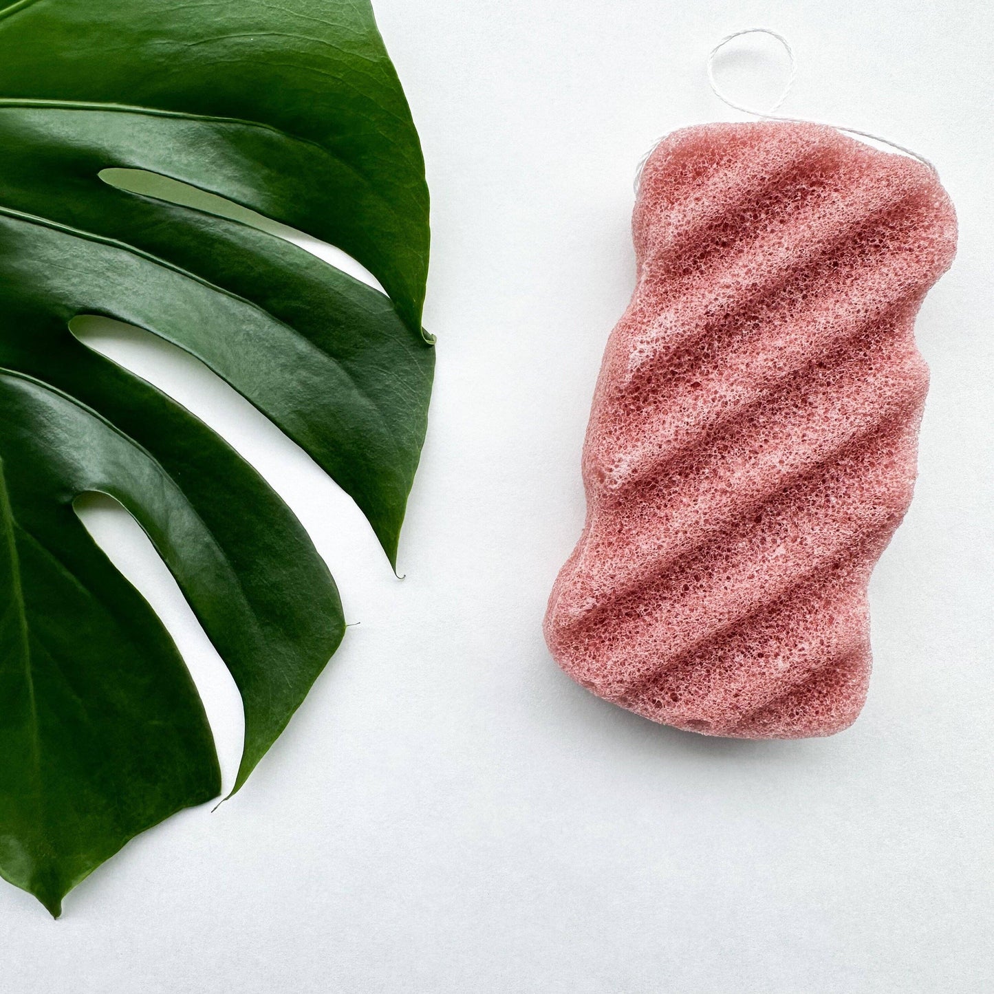 Natural Organic Konjac Body Sponge
