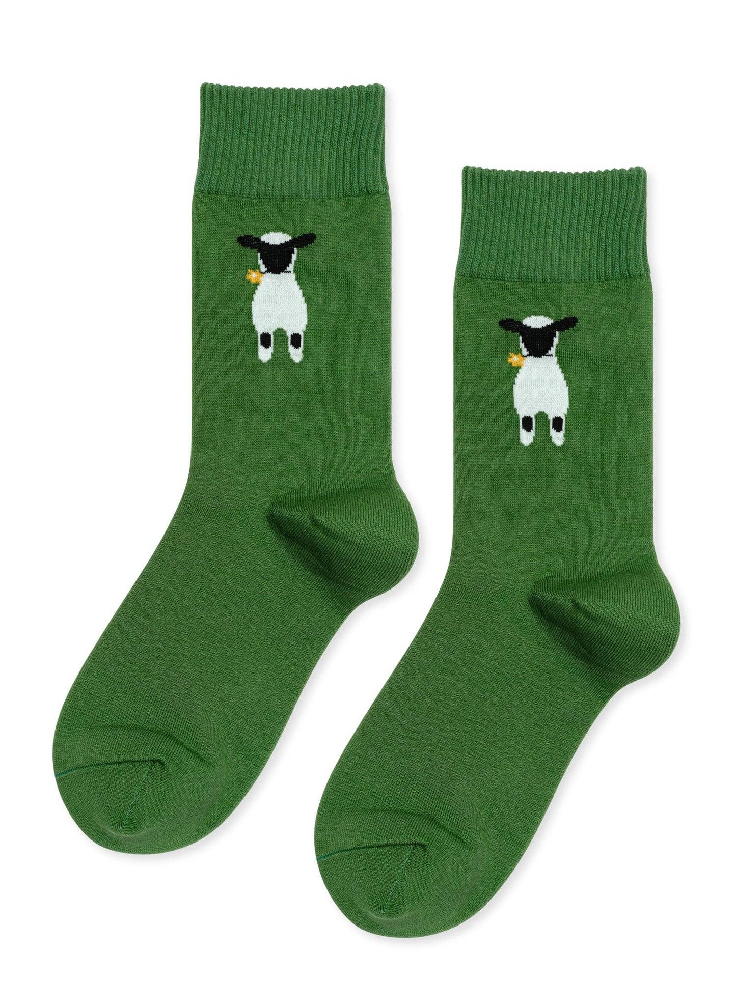 Nice to See Ewe Crew: Ochre