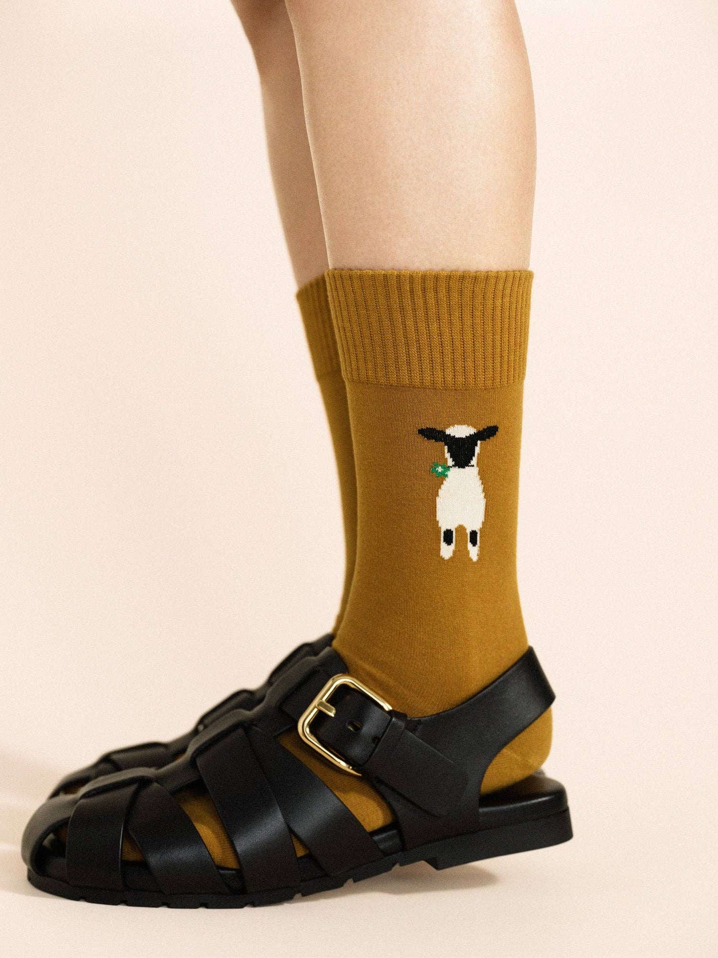 Nice to See Ewe Crew: Ochre