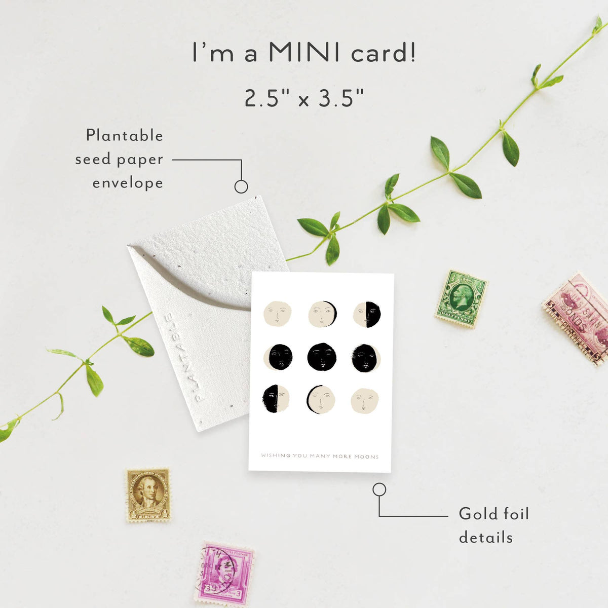 Birthday Mini Greeting Card Plantable Seed Paper