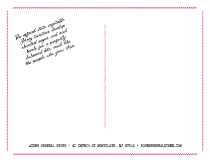 Jerseytone Postcard