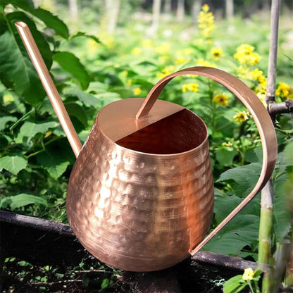 Handcrafted Watering Can for Indoor Plants
