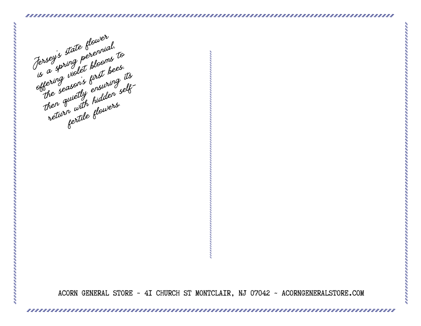 Jerseytone Postcard