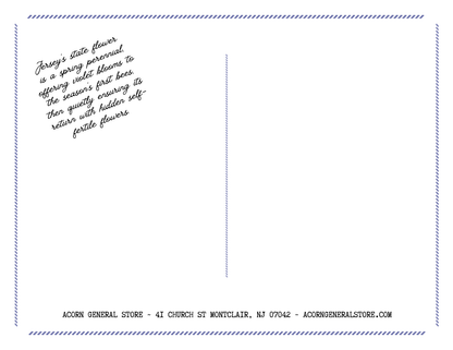 Jerseytone Postcard