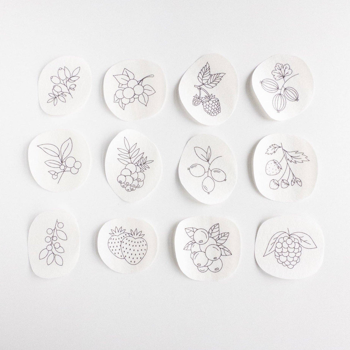 Berry Stick and Stitch Embroidery Patterns