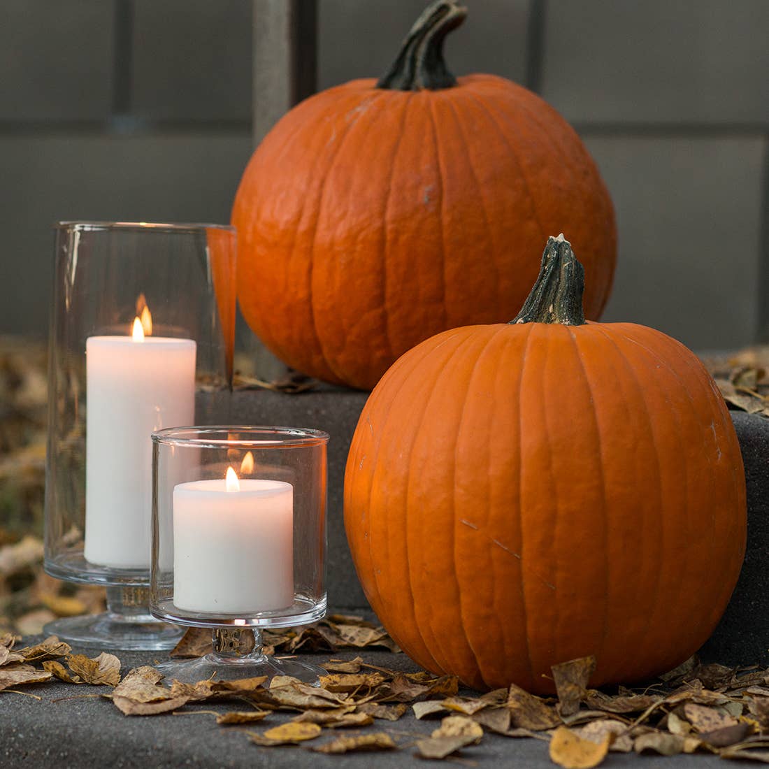Unscented Natural Palm Wax Pillar Candles
