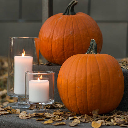 Unscented Natural Palm Wax Pillar Candles