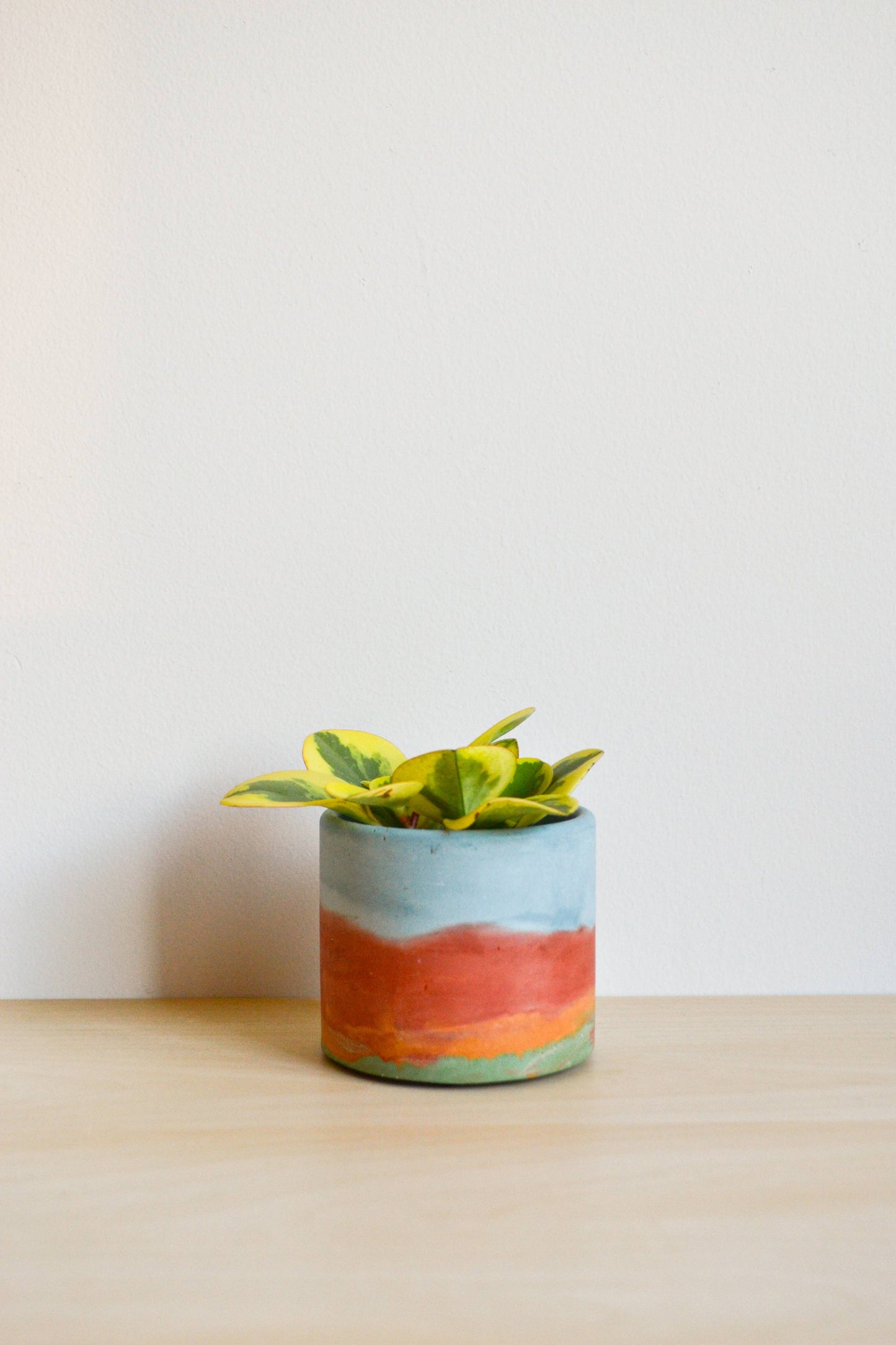 Rainbow Watercolor mix planter | multiple sizes