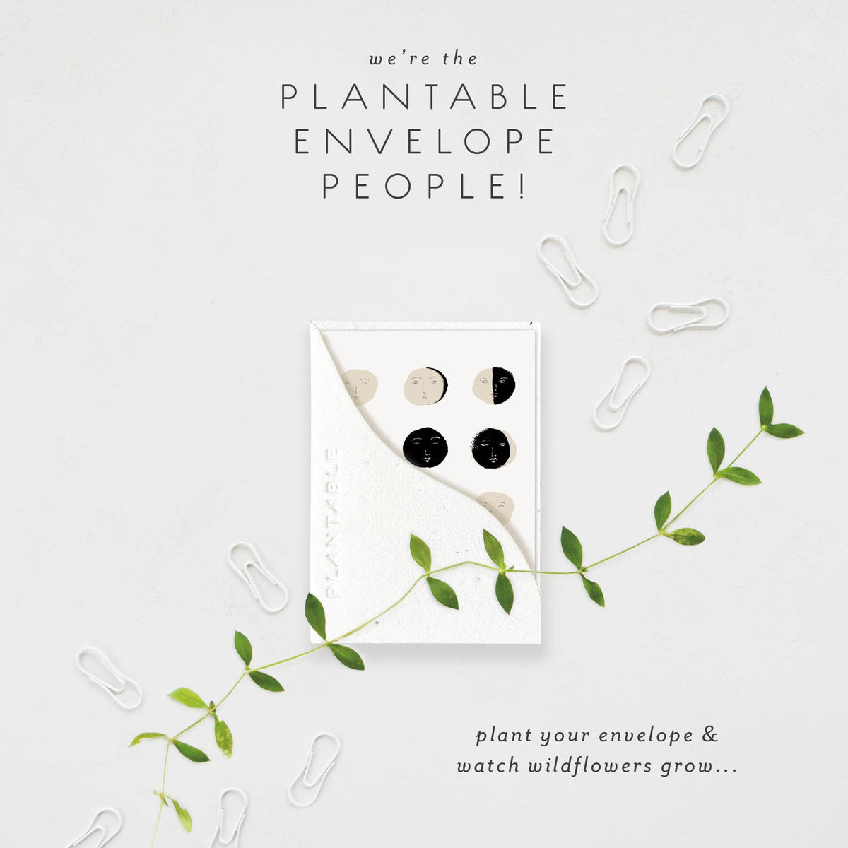 Birthday Mini Greeting Card Plantable Seed Paper