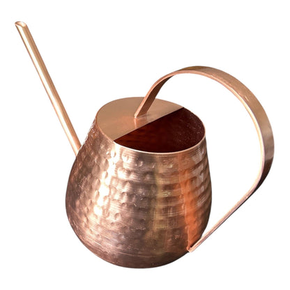 Handcrafted Watering Can for Indoor Plants