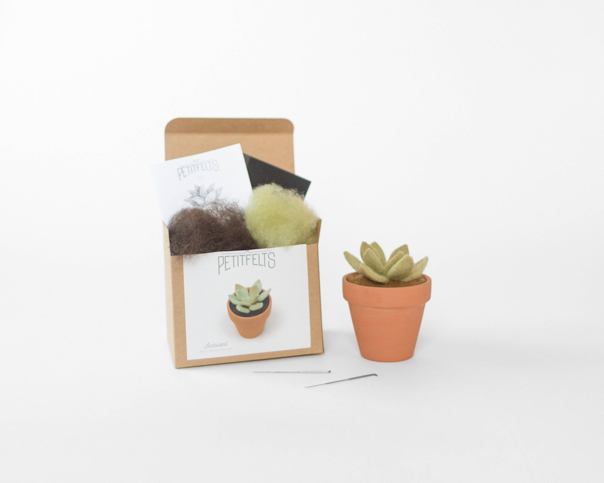 needle felting succulents Needle Felting Kit