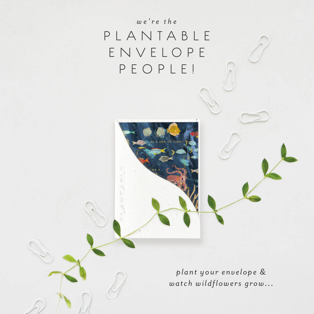 Friendship Mini Greeting Card Plantable Seed Paper