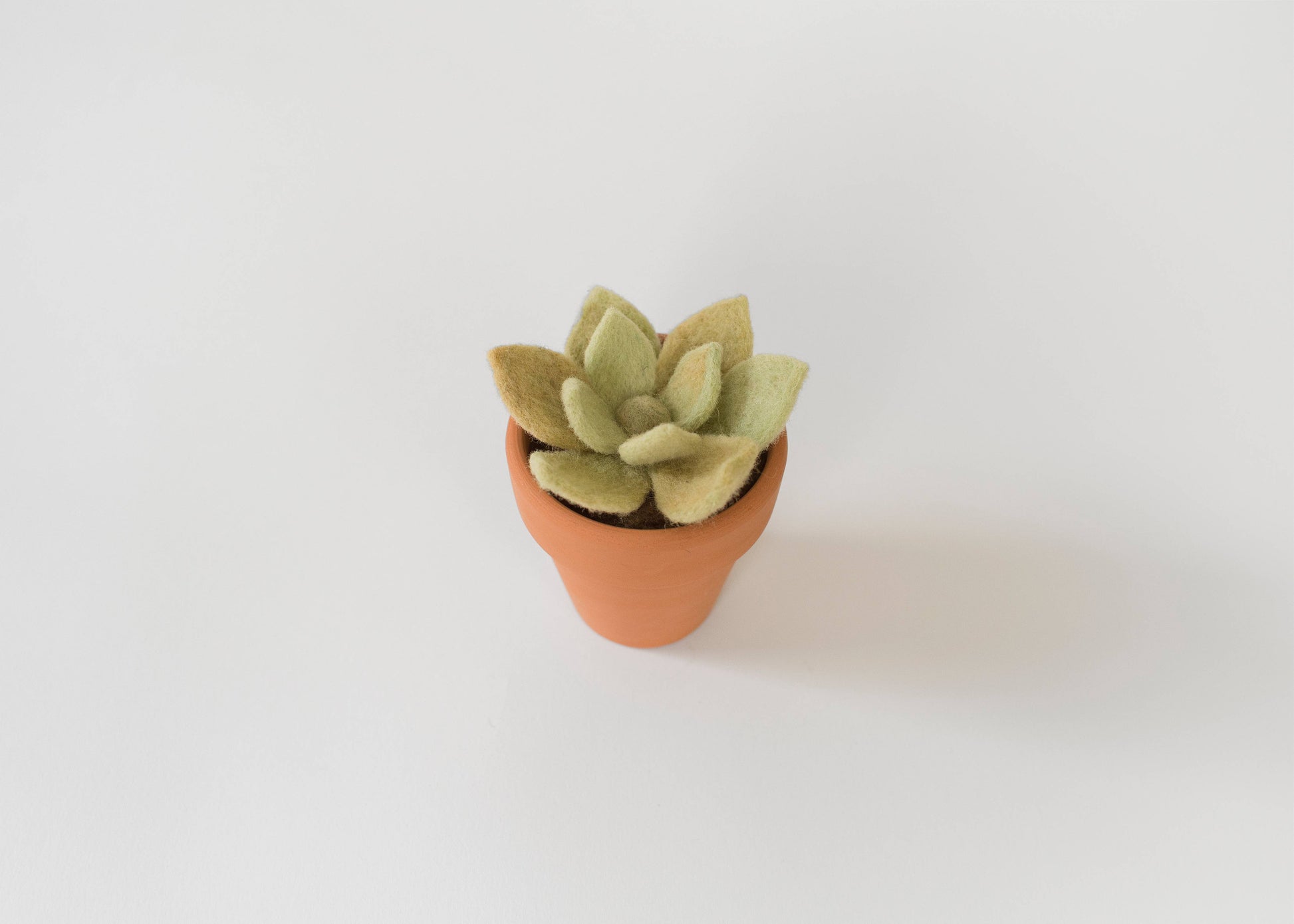 needle felting succulents Needle Felting Kit
