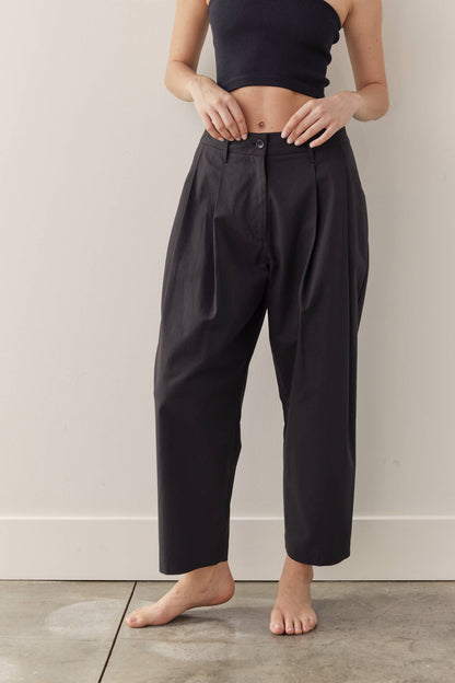 Pleated Tapered Pants