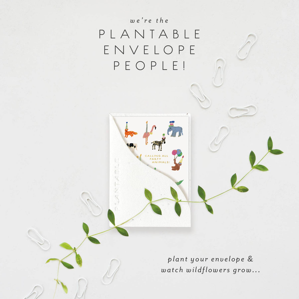Animal Party Mini Birthday Card, Plantable Seed Paper
