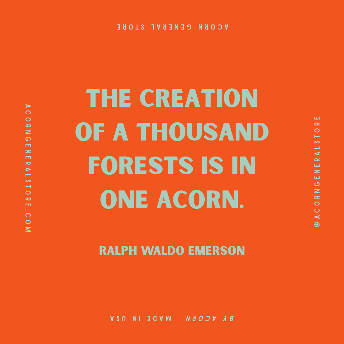 Acorn Magnet Collection