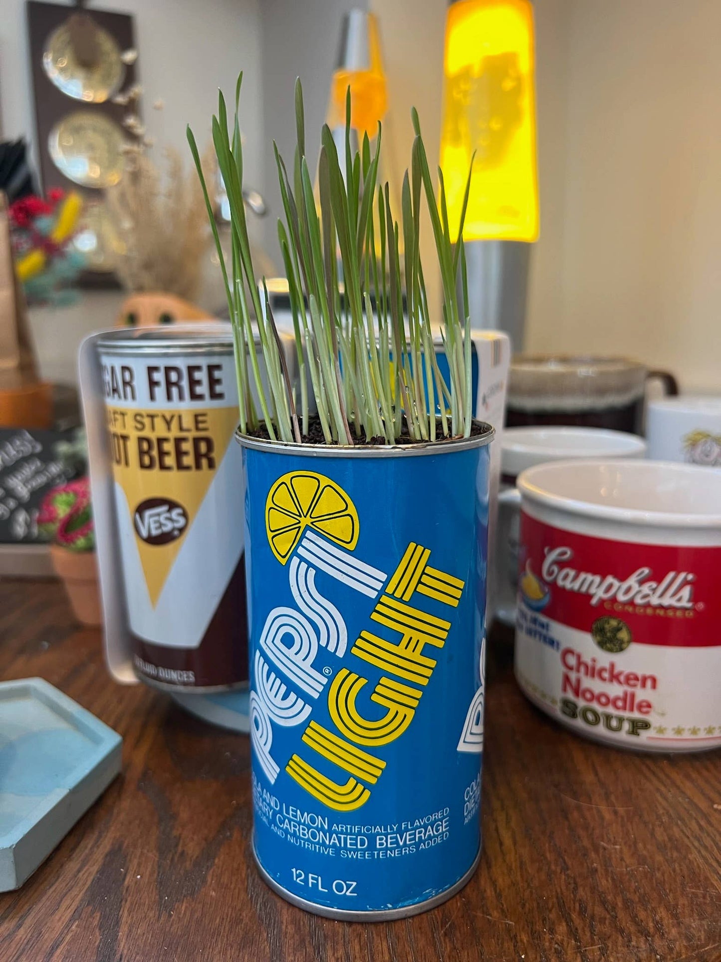 Cat Grass Kit