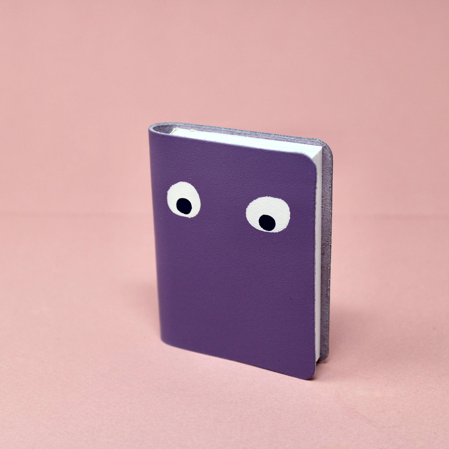 Googly Eye Mini Leather Notebook