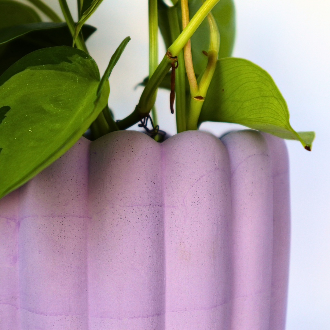 Handmade Scallop Planter 4.5 Inch