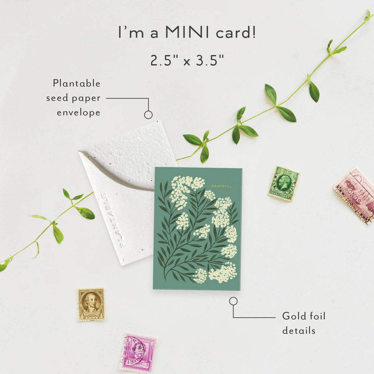 Grateful Sprout Mini Thank You Card, Plantable