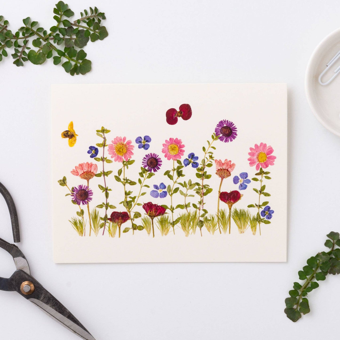 Meadow Greeting Card