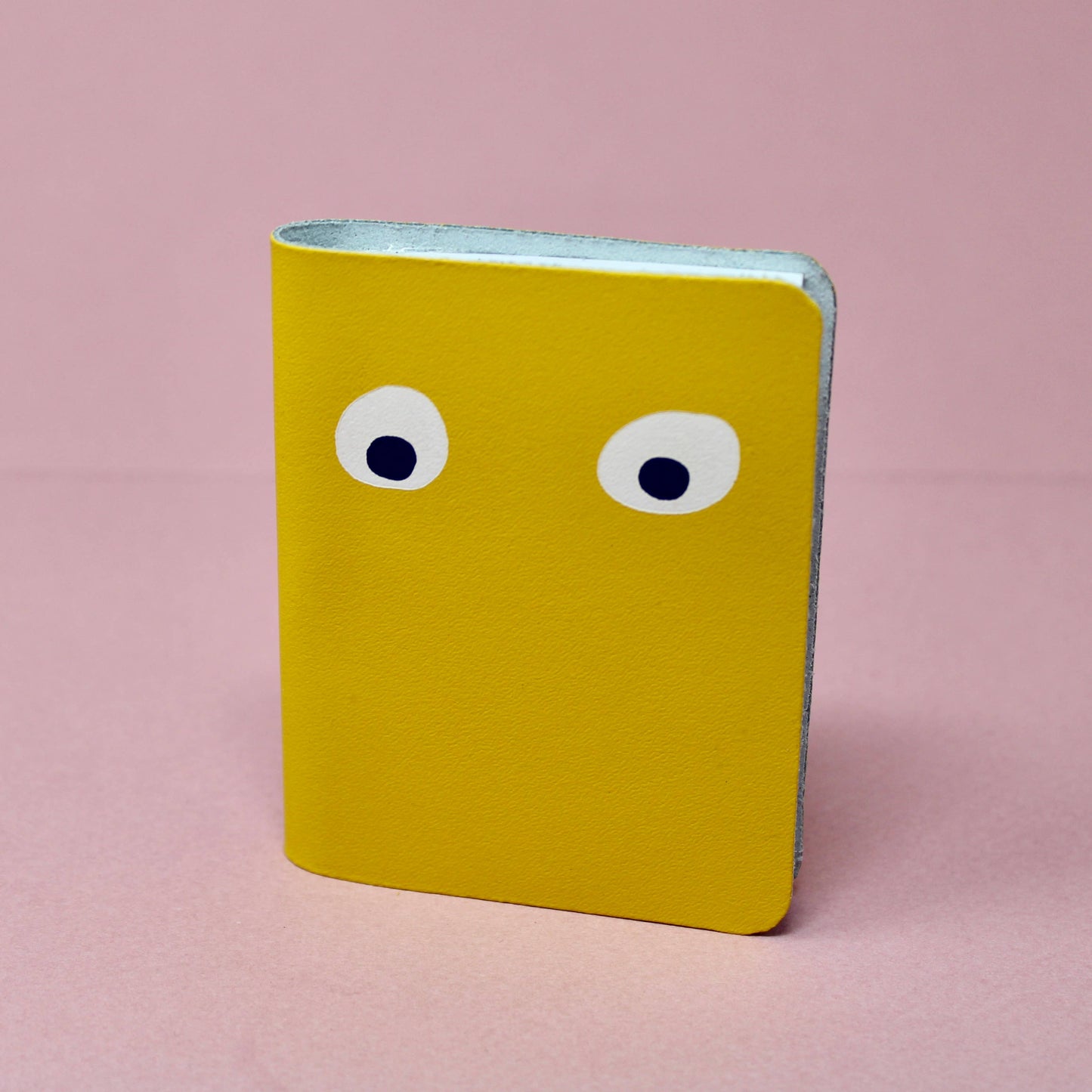 Googly Eye Mini Leather Notebook