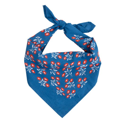 Juliet Bandana