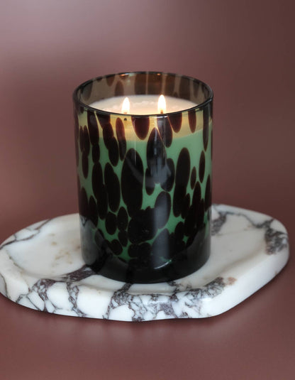 Fraser Fir Holiday Candle in Tortoise Glass, 21 oz