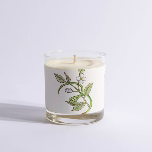 Black Tea Vetiver Glass Candle