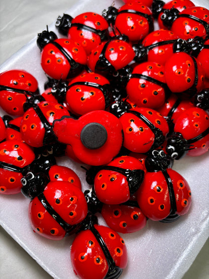 Ladybug Kitchen Magnet