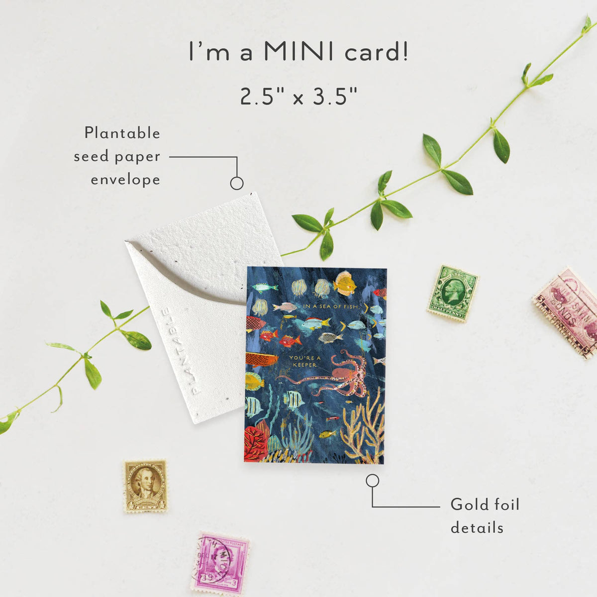 Friendship Mini Greeting Card Plantable Seed Paper