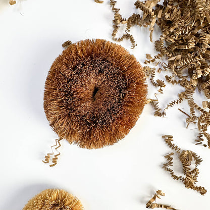 Plastic Free Coconut Fiber Dish Brush Bamboo Handle