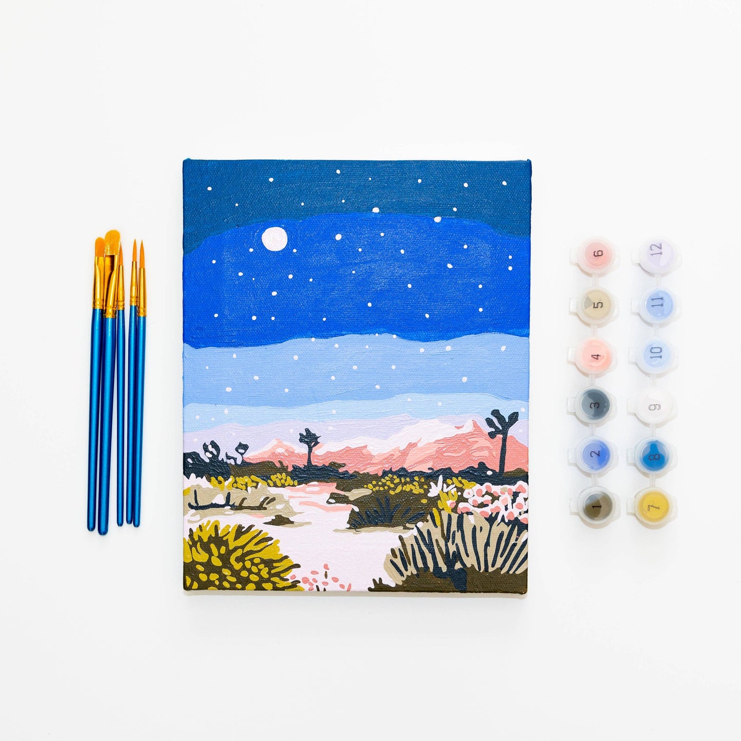 Paint By Numbers : Joshua Tree at Night