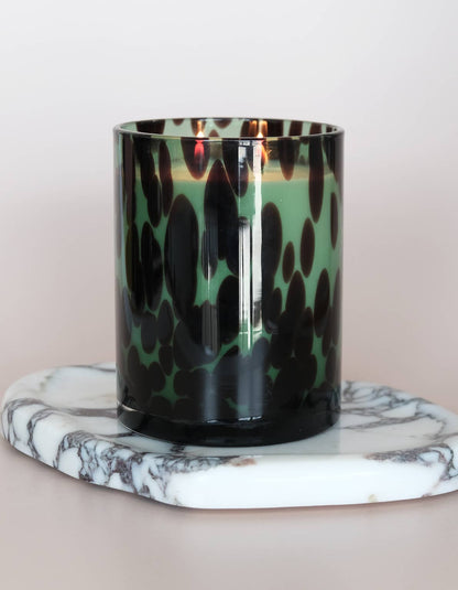 Fraser Fir Holiday Candle in Tortoise Glass, 21 oz
