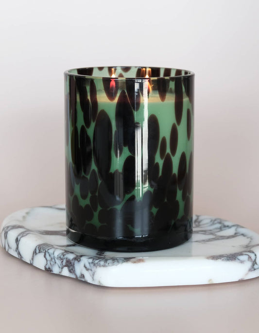 Fraser Fir Holiday Candle in Tortoise Glass, 21 oz