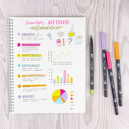 Tombow Dual Brush Pens, Yay Sorbet 6-Pack