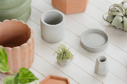 Handmade Scallop Planter 4.5 Inch