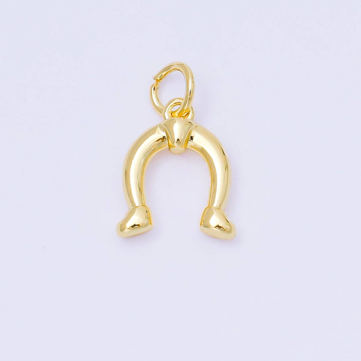 Acorn Charm Collection