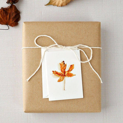 Maple Leaf Autumn Watercolor Mini Notecard